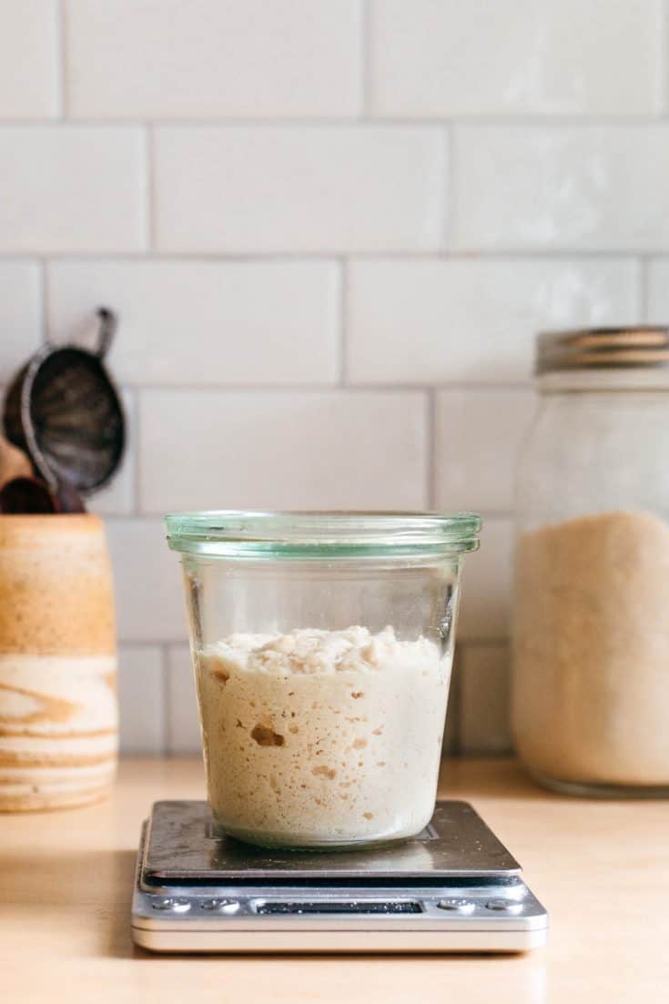 gluten free sourdough starter gluten free sourdough starter